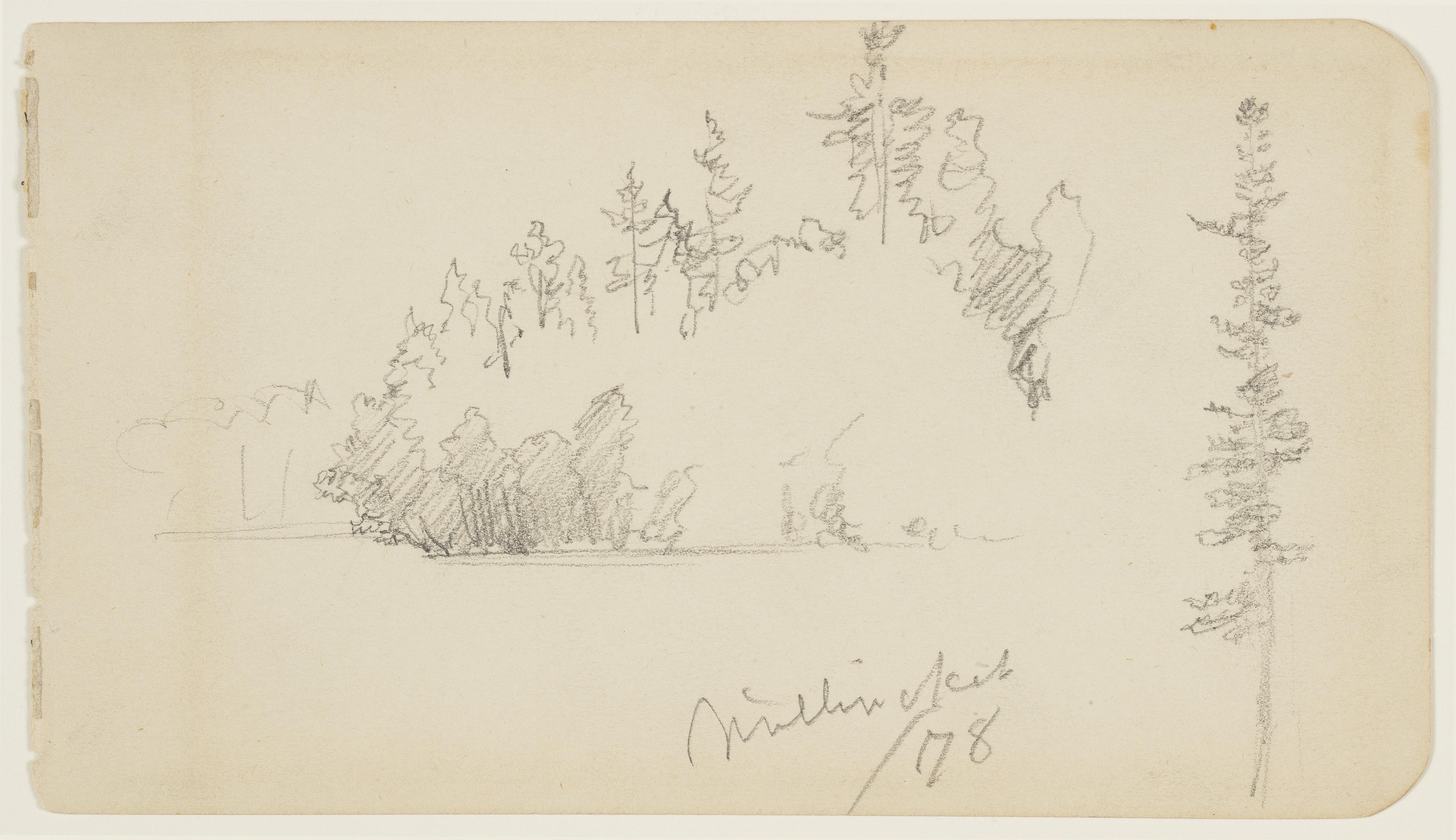 WOODED SHORELINE, LAKE MILLINOCKET, MAINE