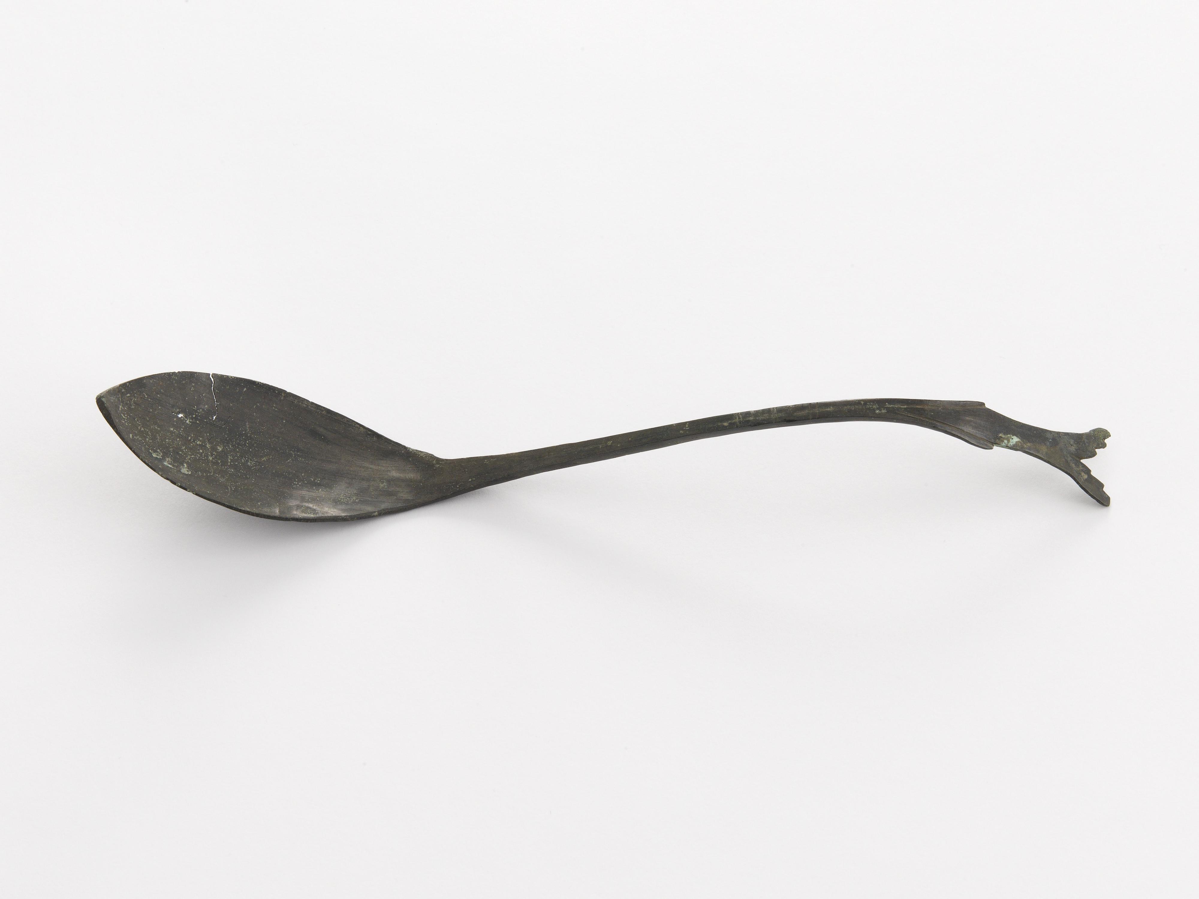 Spoon