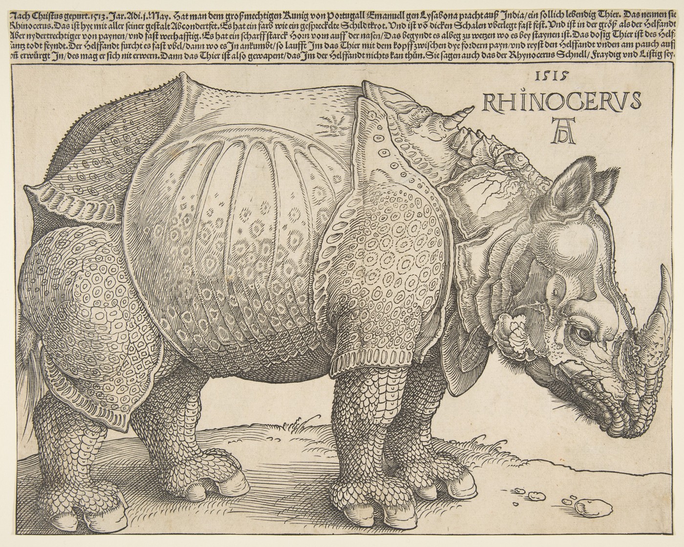 A woodcut of a rhinoceros in profile with densely patterned, armor-like skin and text above.